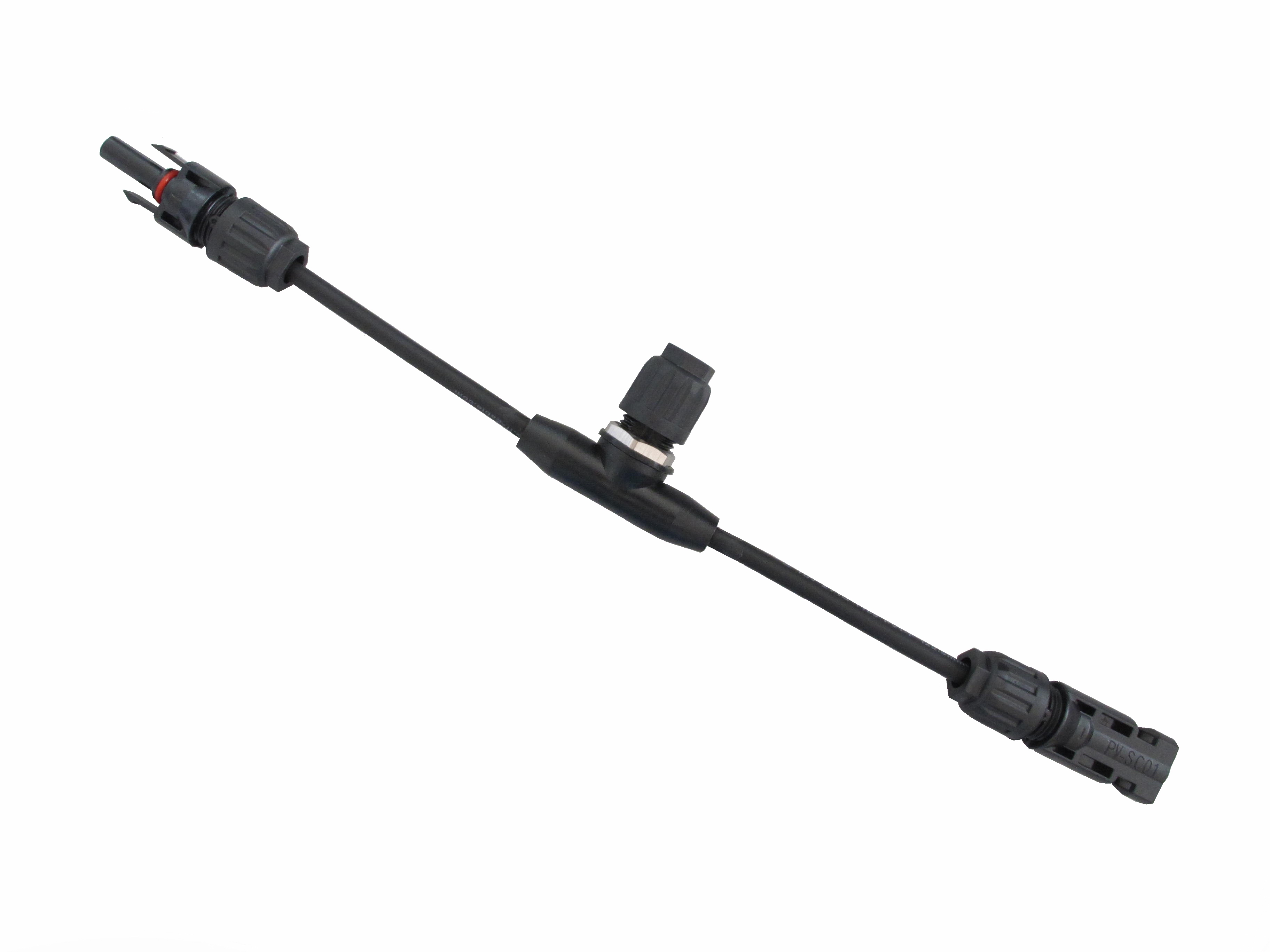 Plants: image 1 0f 4 thumb