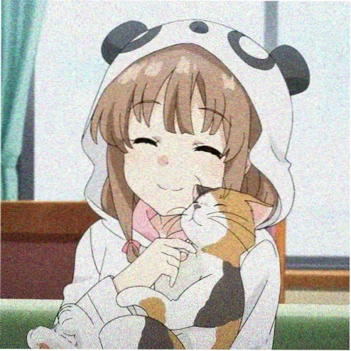 追剧小牛